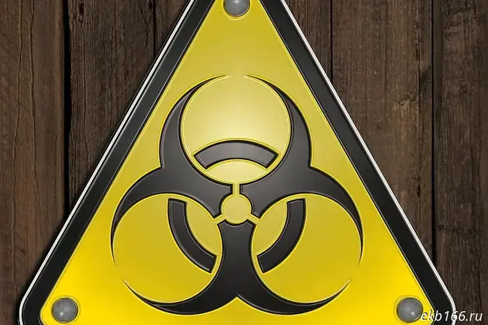 The project to create a dangerous virus research laboratory in Yekaterinburg has been put up for discussion.