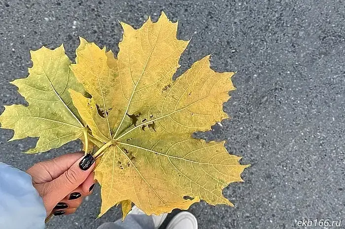 В Свердловской области температура повысится до +10 °С.
