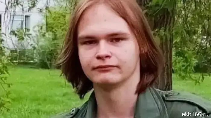 Arrivals from Yekaterinburg and St. Petersburg, having communicated online, brutally killed an unfamiliar student in Omsk.