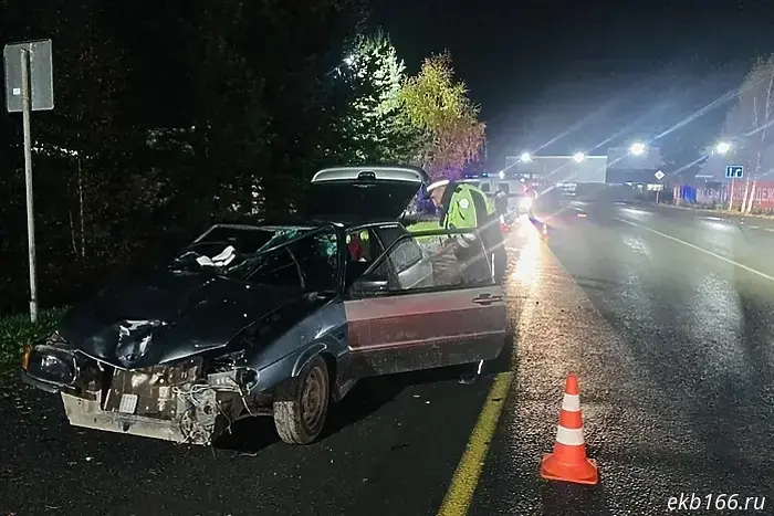 New details have emerged in the case of a pedestrian killed under the wheels of a young unlicensed driver in Kosulino.