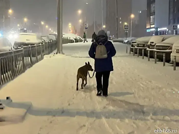 Екатеринбург на несколько часов стал зимней сказкой. Однако это вскоре завершилось.