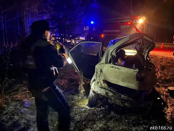 An elderly couple in a Hyundai crashed into a pole on the road to Verkhneye Dubrovo (PHOTO)