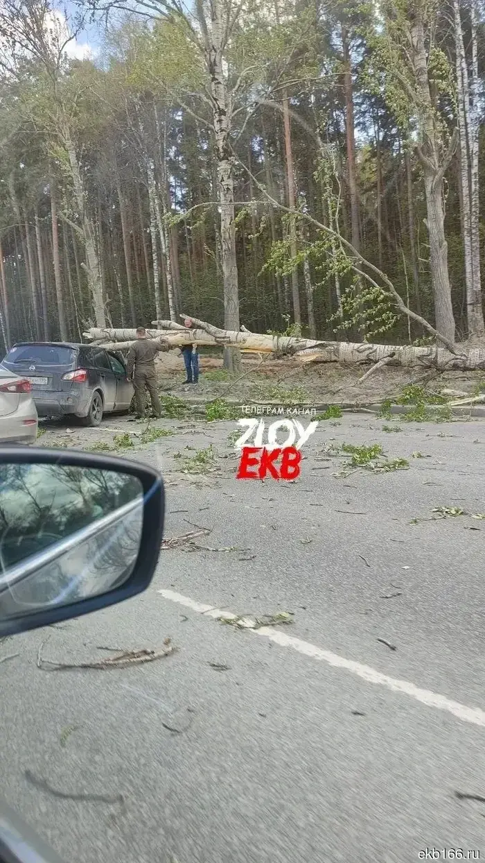 Gusty winds in Yekaterinburg are toppling trees, bus stops, and toilets (PHOTO)