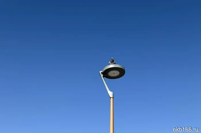 Abnormal summer heat is coming to the Sverdlovsk region.