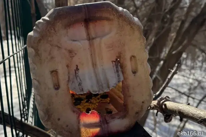 Mayakovsky Park in Yekaterinburg will get rid of "homemade" feeders.