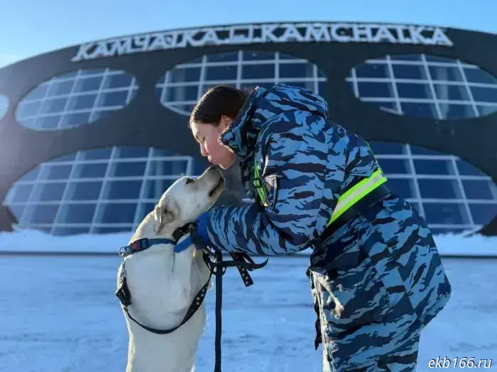 A dog raised in Yekaterinburg set off to work at the edge of the world.