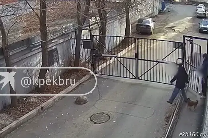 В Екатеринбурге задержали отклоняющегося от нормы, który расстегнул молнию на своих штанах, увидев 19-летнюю девушку во дворе.