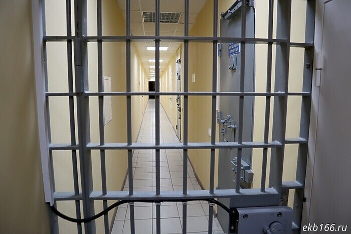 В Екатеринбурге разбойник, который напал на женщину, гулявшую с собакой, был приговорён к колонии (ФОТО)