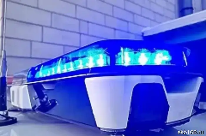 Arrivals from Yekaterinburg and St. Petersburg, having communicated online, brutally killed an unfamiliar student in Omsk.