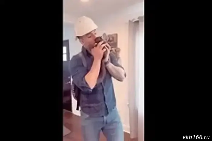 A pet cat contracted rabies in the Urals.