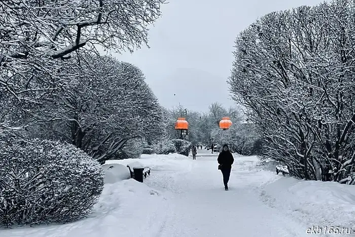Meteorologists said what the weather will be like in Sverdlovsk Oblast this winter.