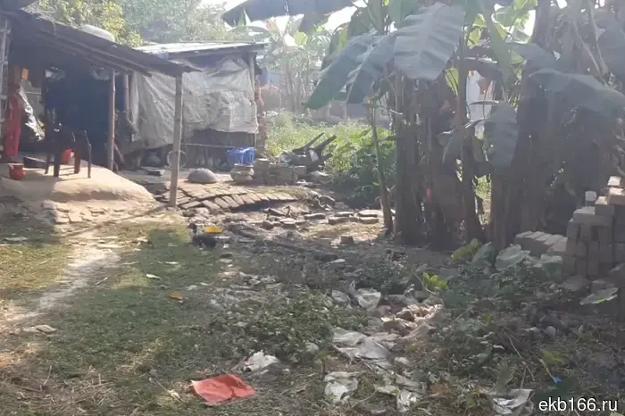 Курьера из Бангладеш задержали в Екатеринбурге по подозрению в сексуальных домогательствах к ребенку.