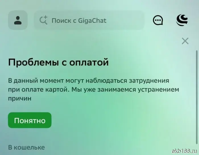 В Свердловской области поступают жалобы на массовый сбой в системе Сбера.