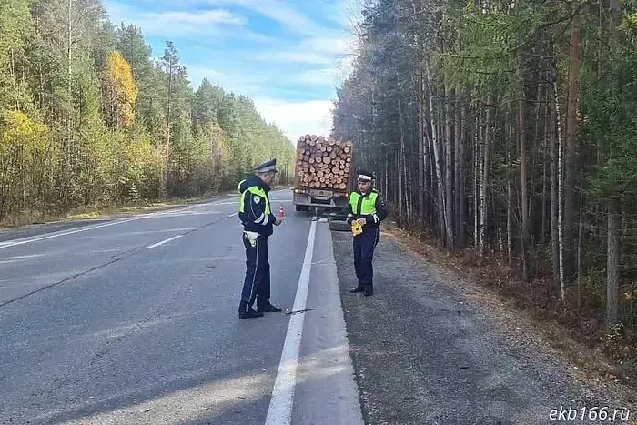 A man from Sverdlovsk climbed under a vehicle to fix a wheel on the highway when a passing truck tore his leg off.