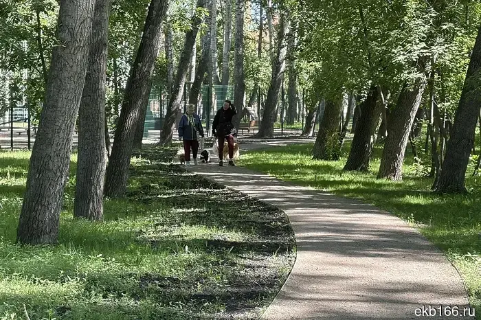 В Екатеринбурге обновят парк, который занял второе место в голосовании по программе ФКГС.
