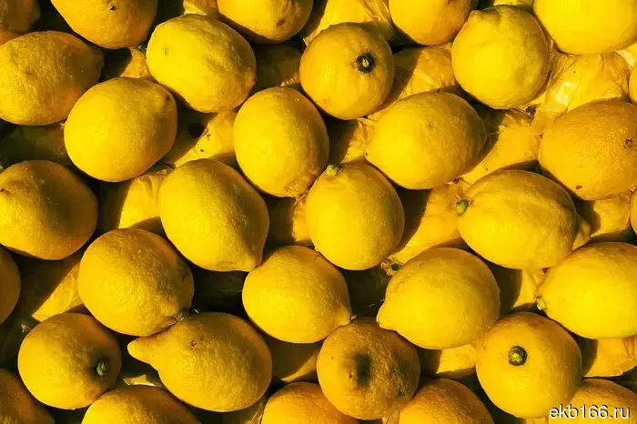 Infected lemons have appeared on the shelves of Sverdlovsk stores.