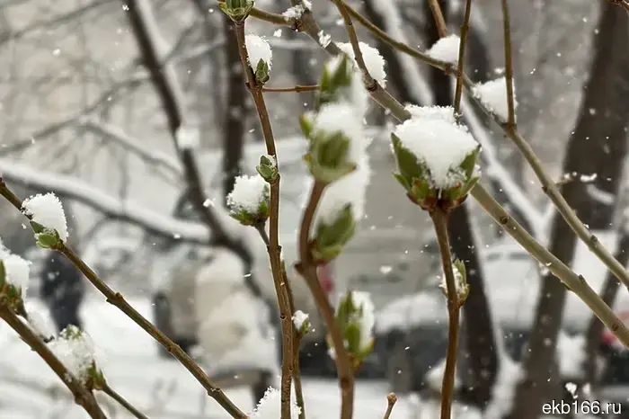 Свердловская область вскоре ожидает новое похолодание.