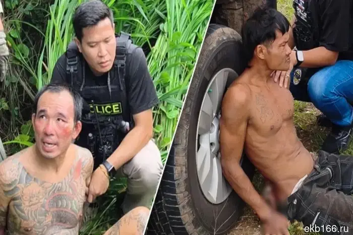Two Thais confessed to the murder of a missing 17-year-old brother and his 22-year-old sister from Tyumen in Pattaya.