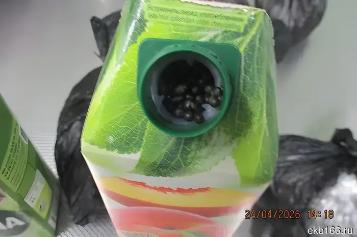 Foreigners brought 9 kg of snuff to Koltsovo in juice boxes "for personal use."