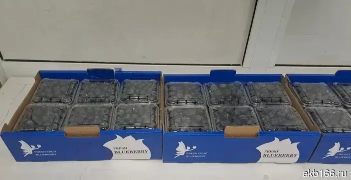 The first batch of blueberries from China was cleared by Ural customs officials.