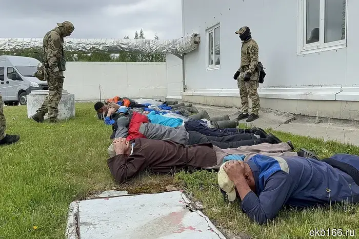 Yekaterinburg police detained 42 migrants who were working illegally in fish processing plants - photo