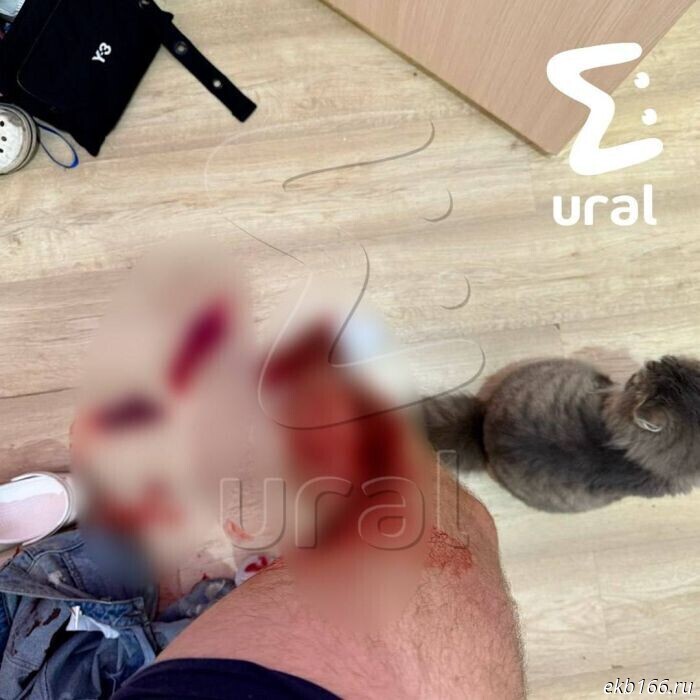 A stranger attacked a man with a knife in the Akademichesky District (PHOTO)