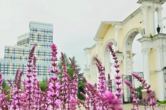 Another culture and recreation park may appear in Yekaterinburg.