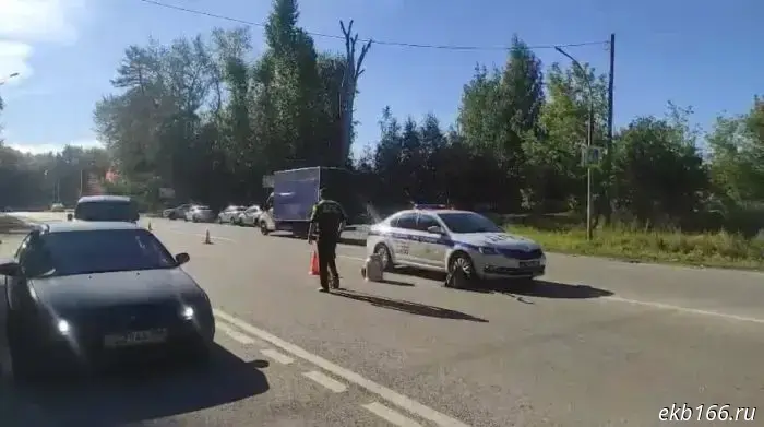 An elderly woman was killed in a hit-and-run near a bus stop in Yekaterinburg.