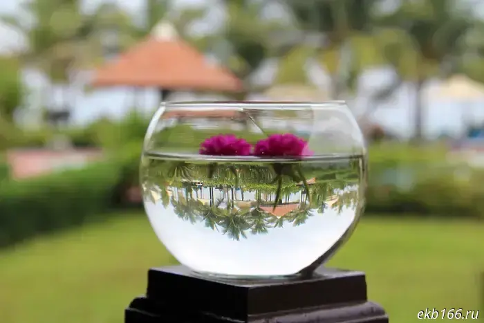 Direct flights from Yekaterinburg to Phu Quoc are resuming.