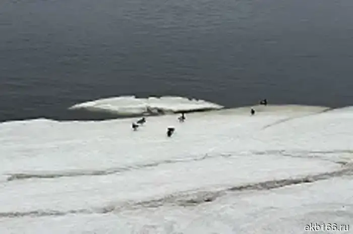 The body of one of the fishermen who went missing in April was found in the Sverdlovsk region.