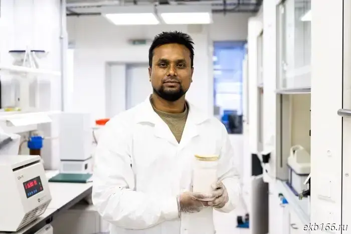 Scientists at UrFU made plant-based milk healthier by adding a secret ingredient.