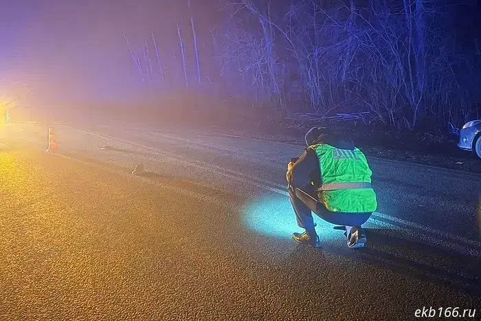 На свердловской трассе погиб мужчина, личность которого не установлена, он находился посреди проезжей части.