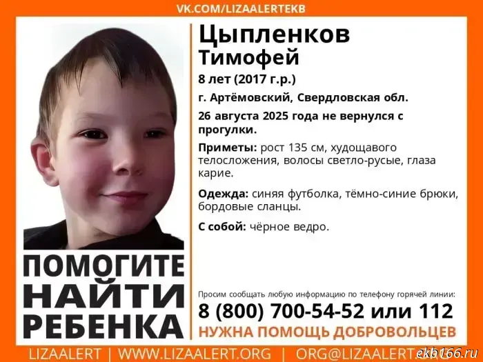 Соседи представили свою версию пропажи 8-летнего мальчика в Артемовске.