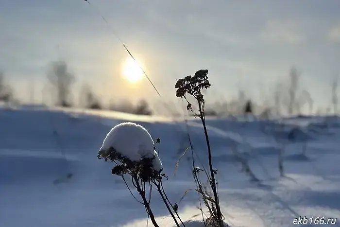Синоптики официально сообщили об аномальных морозах в Свердловской области.