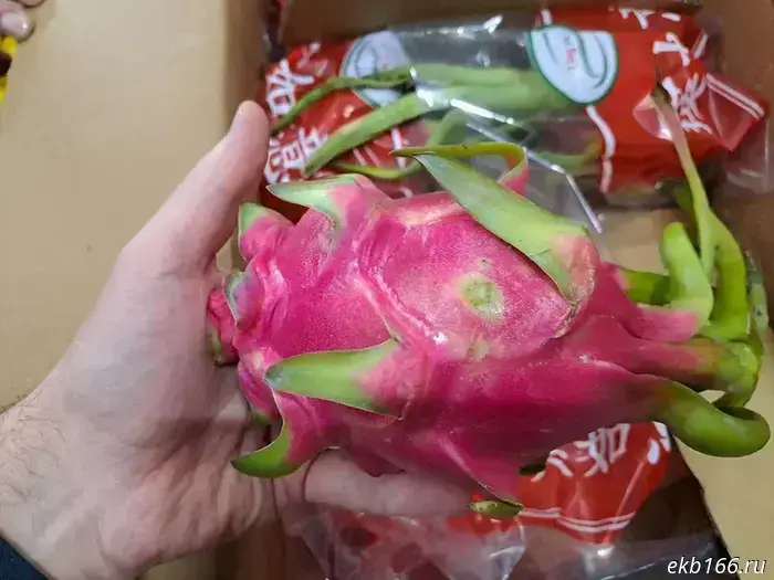 Личи и маракуйя впервые были высажены на Урале.