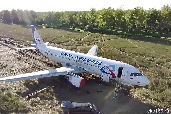 Passengers of the Ural Airlines plane that landed in a wheat field appealed to the president.
