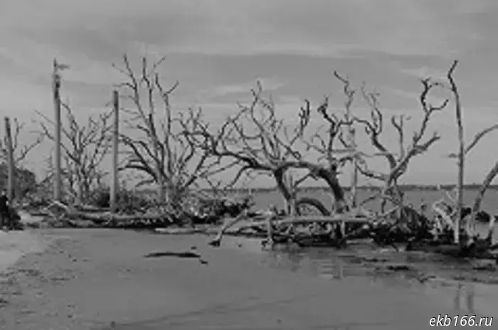 «Спасли одного». Снегоход с двумя пассажирами ушел под лед в Свердловской области.