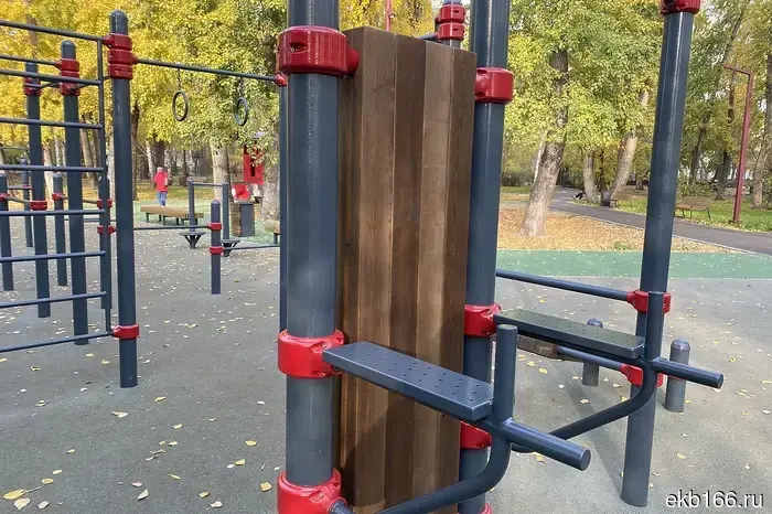 Жителей Екатеринбурга приглашают на бесплатные занятия.