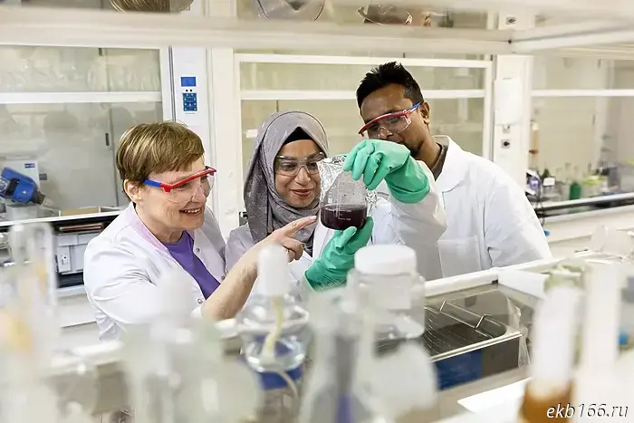 Scientists at UrFU made plant-based milk healthier by adding a secret ingredient.