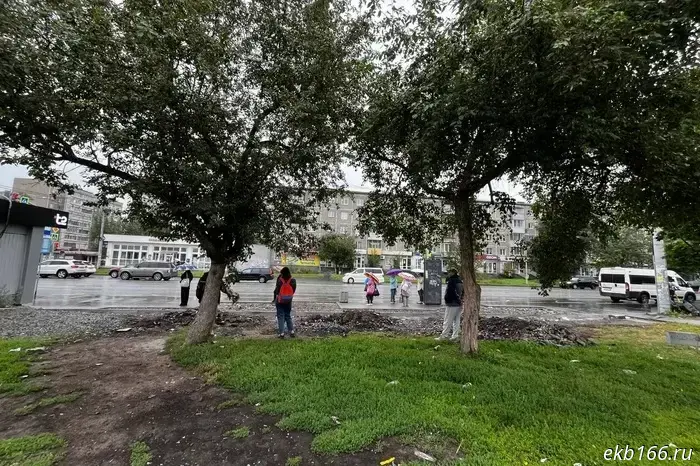 Yekaterinburg residents are hiding from the rain under trees while waiting for public transportation.