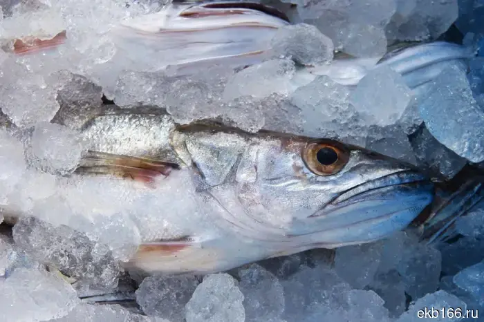 Poisonous fish with arsenic and lead found in Ural stores.