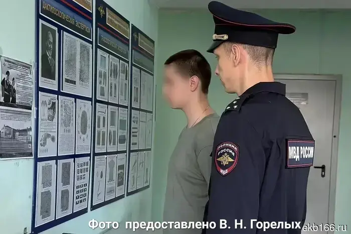 In the Sverdlovsk region, a student was detained for ordering pizza in the name of Hitler.