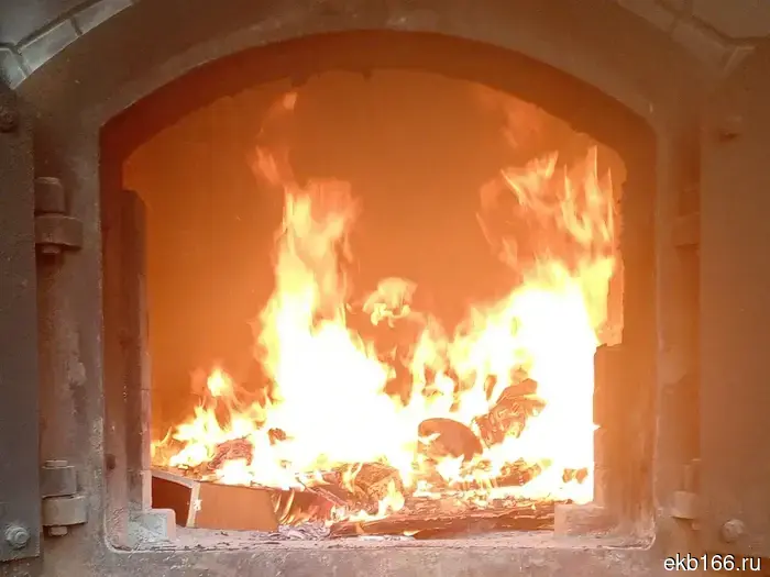 На Урале сожгли партию санкционного сыра из Европы, изъятого у торговцев (ФОТО).