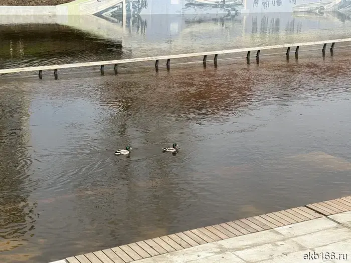 Новая набережная в центре Екатеринбурга снова оказывается затопленной.