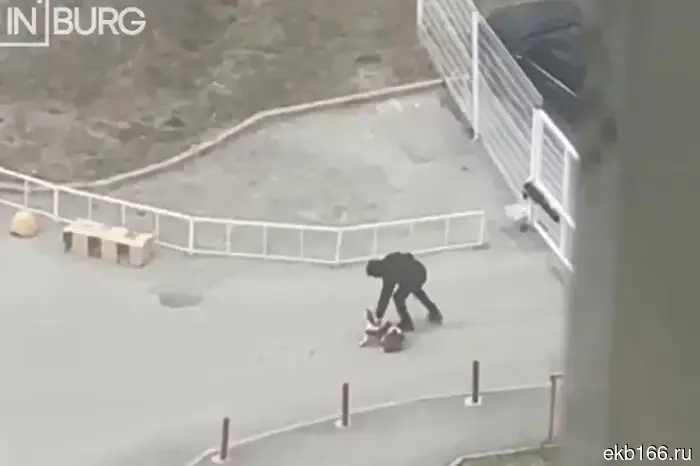 A resident of Yekaterinburg beat a dog in the yard.