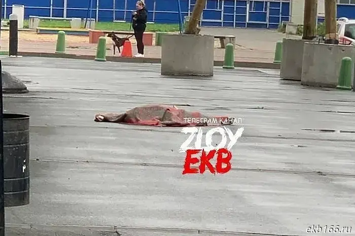 Труп человека обнаружили под окнами жилого здания на Широкой Речке.