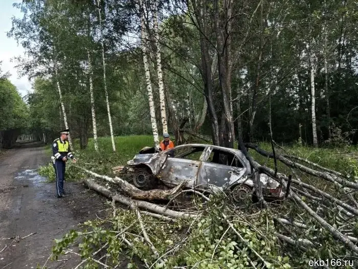 Пьяный житель Свердловской области и его попутчик чудесным образом спаслись из горящей машины после аварии.