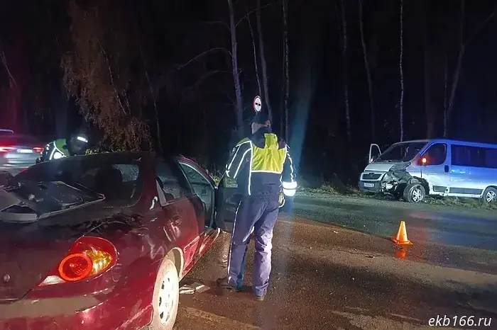 The Kia driver died on the Siberian Trakt as a result of an overtaking maneuver.