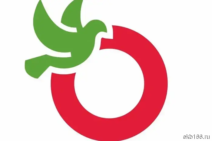 The youth wing of "Yabloko" has closed in the Sverdlovsk region after searches by law enforcement.