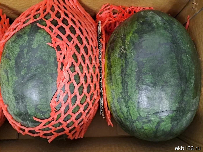 "Summer all year round." The first batch of watermelons and melons from China has arrived in Yekaterinburg (PHOTO)